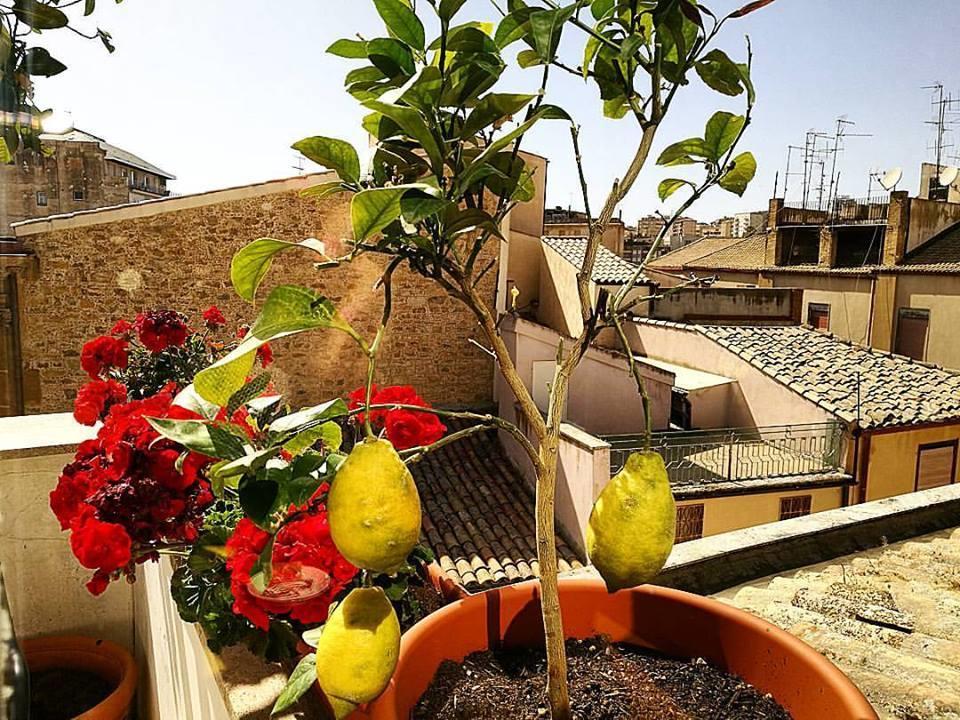 Hotel Plaza Caltanissetta Dış mekan fotoğraf